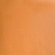 Caramel PPM-FR Leather